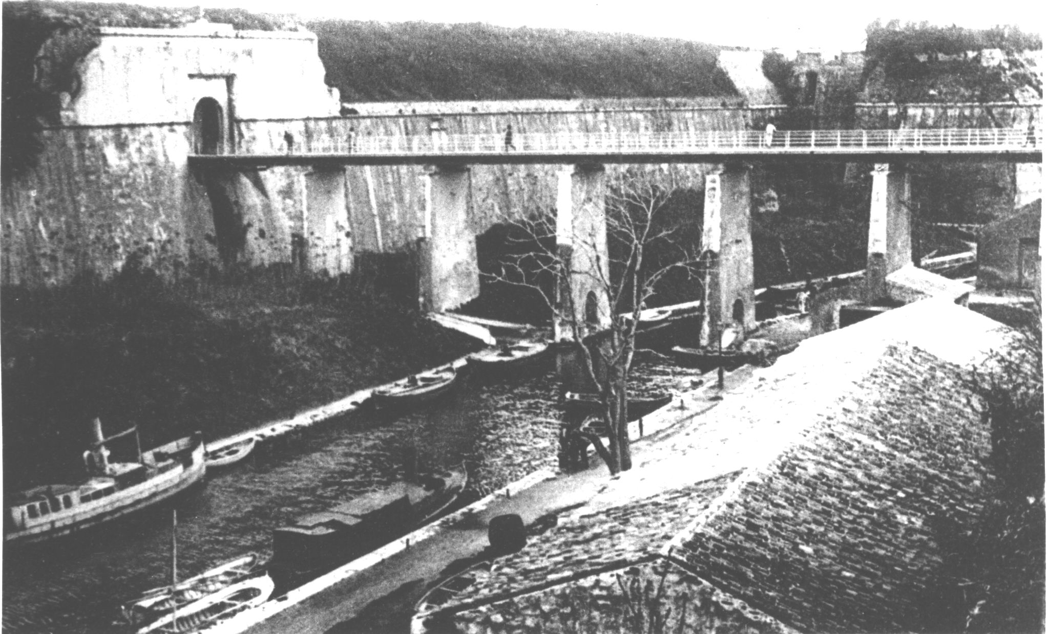 566231311 122135761976924860 8506354234719979254 n 1