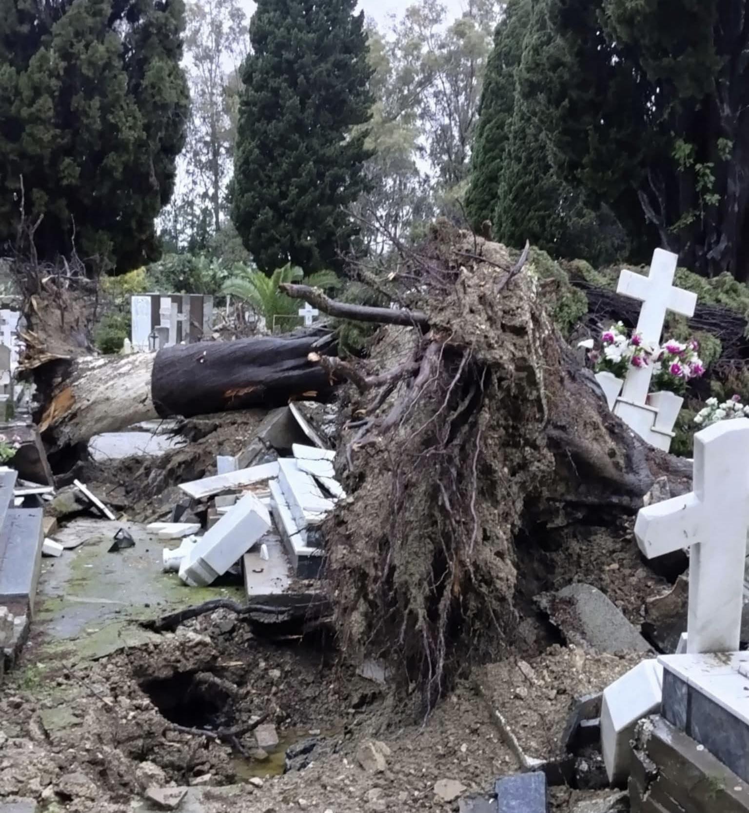 585556200 10164609110687590 198368612239153083 n