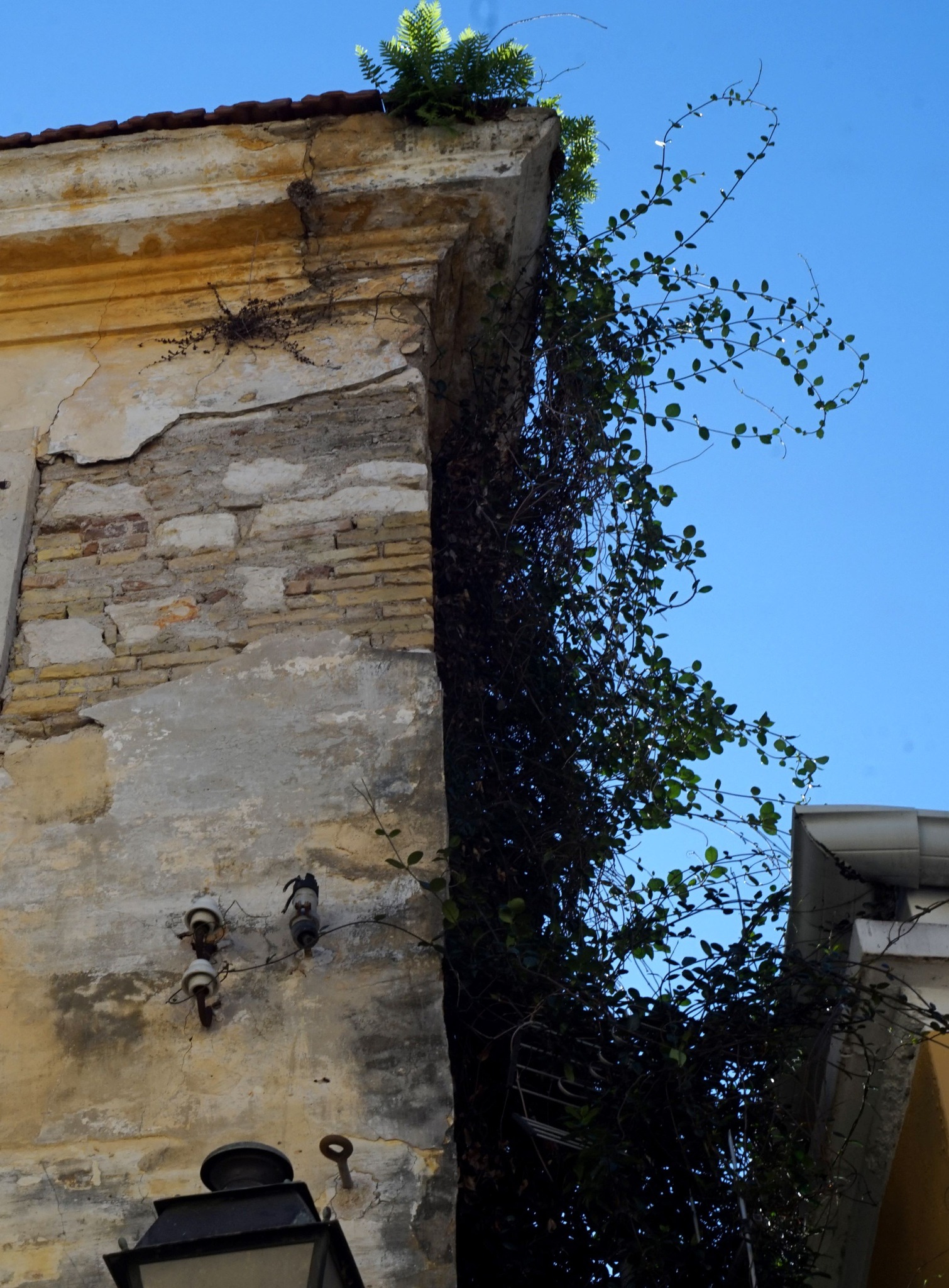 595690796 24955743047455504 8135620581613809202 n