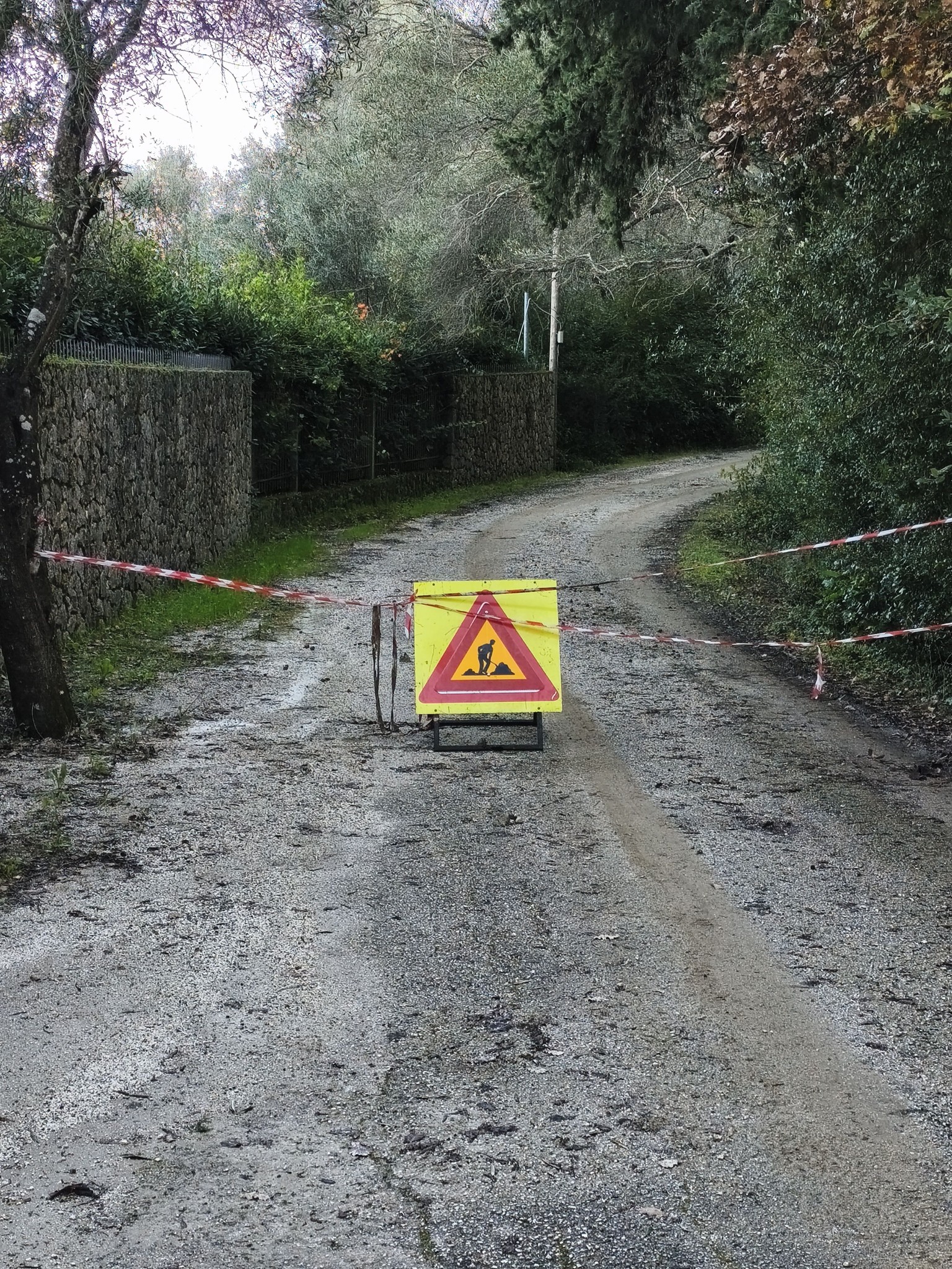 614347085 122250526142182784 4352797438226359323 n