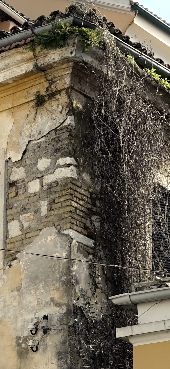 615337202 25220592654303874 8533446638273537868 n